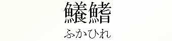 083_ふかひれ